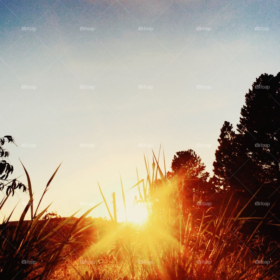 🌄🇺🇸 An extremely beautiful dawn in Jundiaí, interior of Brazil. Cheer the nature! / 🇧🇷 Um amanhecer extremamente bonito em Jundiaí, interior do Brasil. Viva a natureza! 