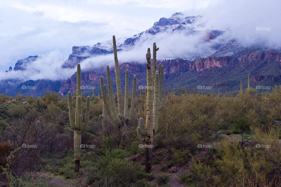 A rare winter storm over the Superstition Mountains leaves snow on the