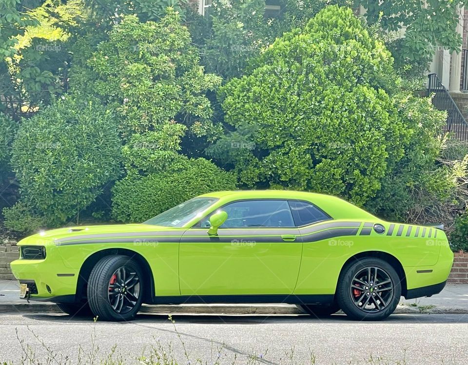 Beautiful green car blends perfectly with the landscape foliage. Lime green on steroids incredibly sleek and aggressive. 