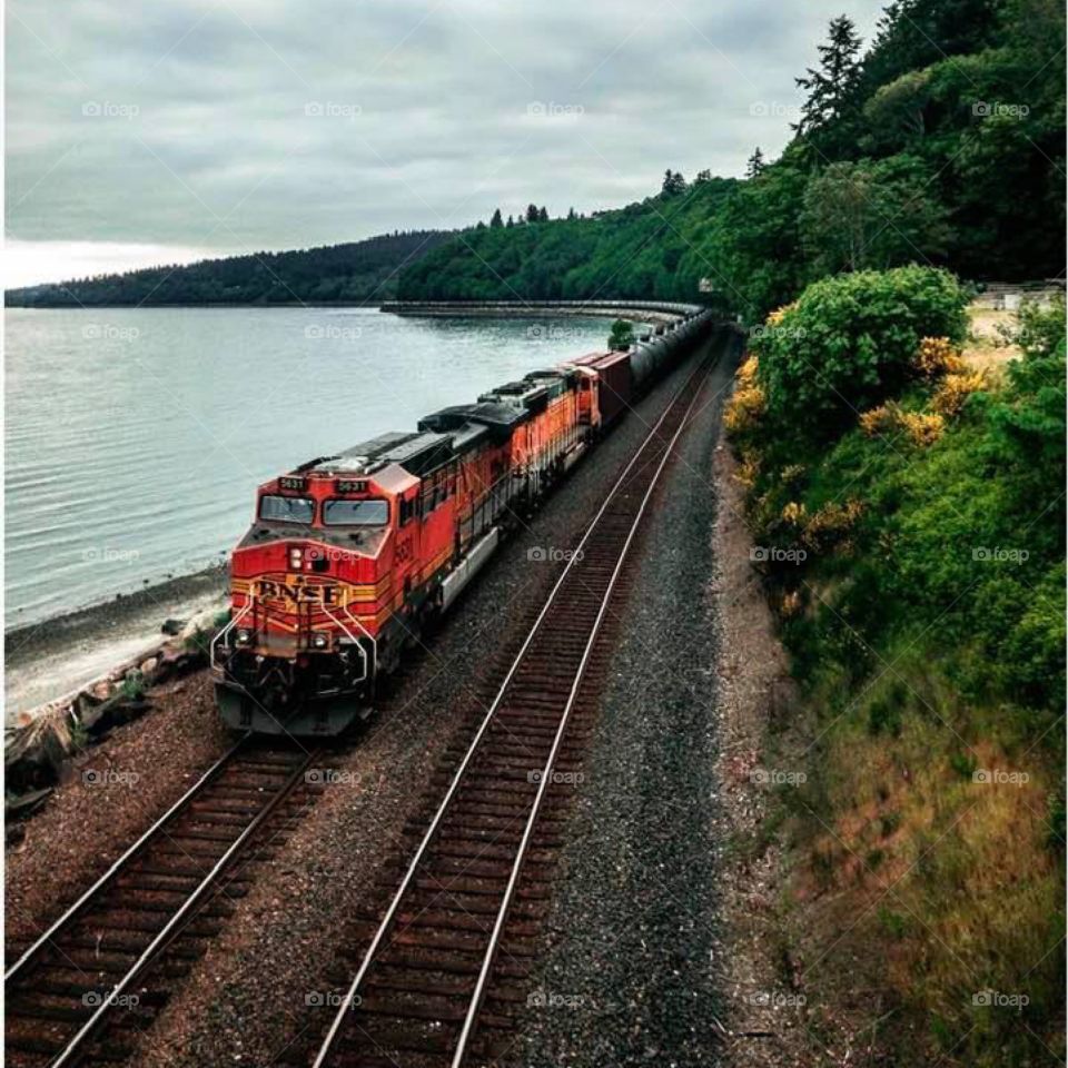 Exploring the Nature 