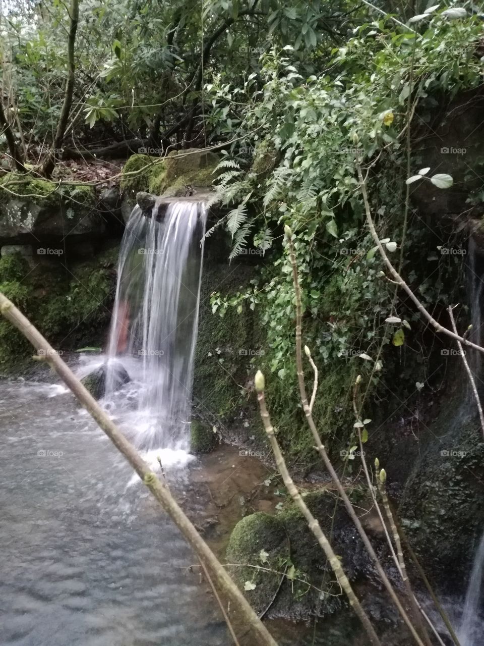 Spring waterfalls