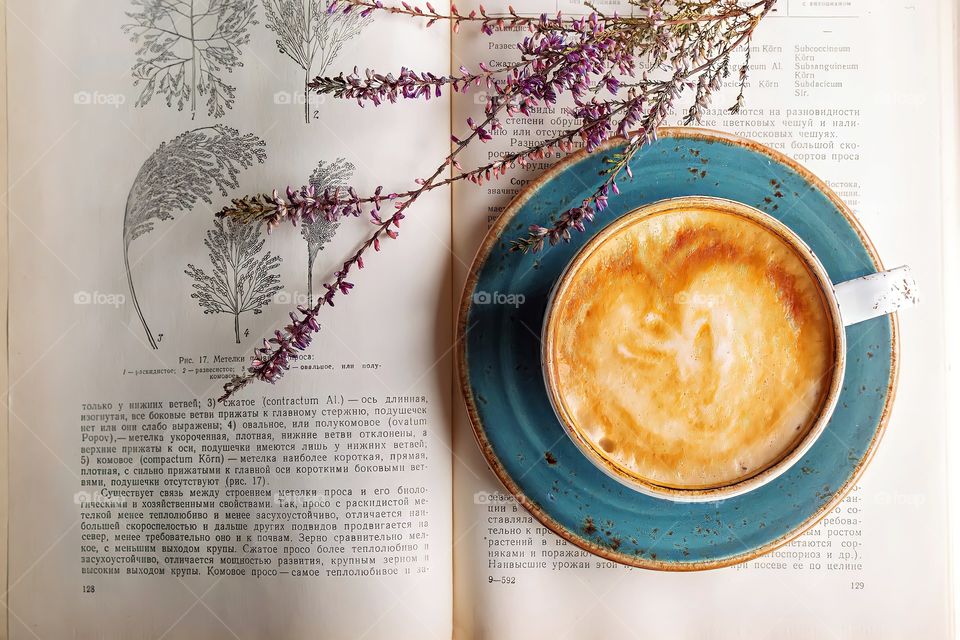 Overhead view of a cup of frothy coffee in blue saucer placed on a book.