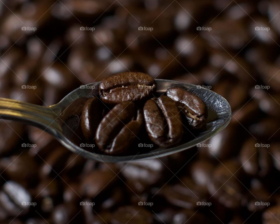 Whole Coffee Beans in a teaspoon