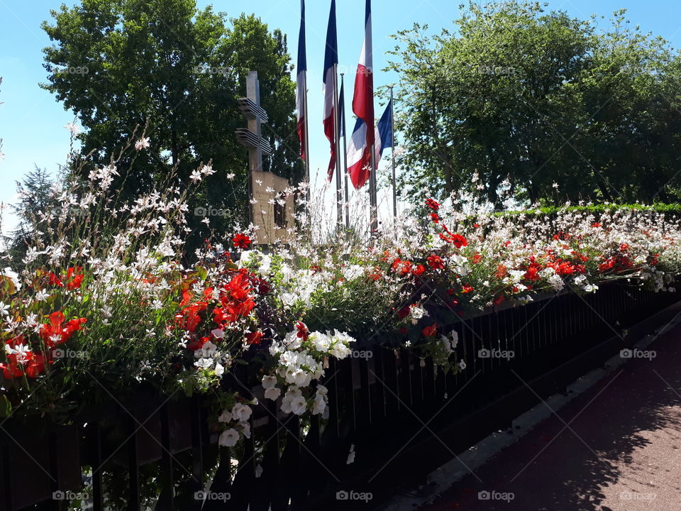 France flags surrounded by flowers