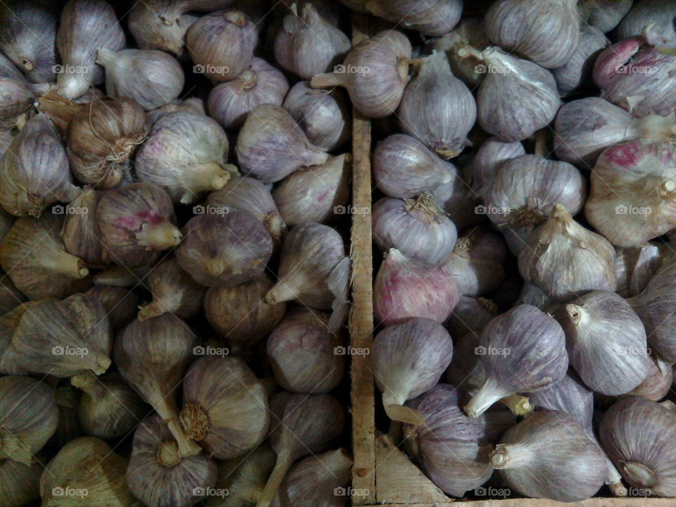 Tender garlic