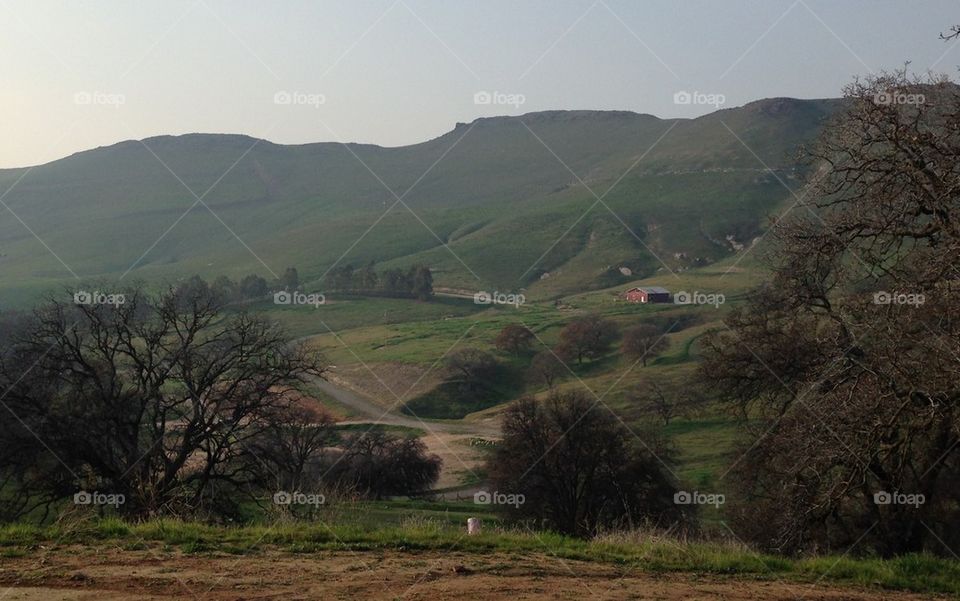 Central California green pastures