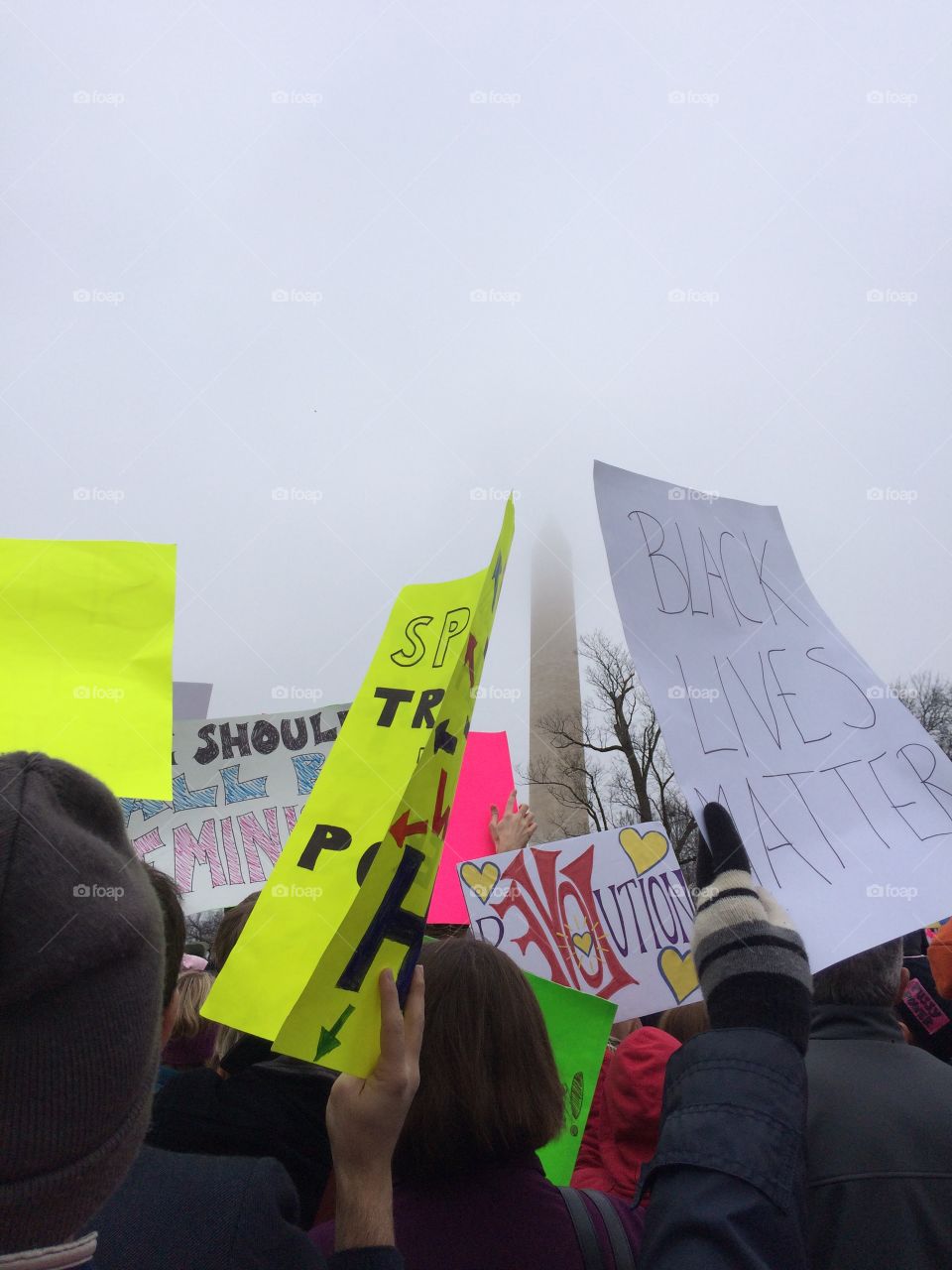 Women's march, Washington DC