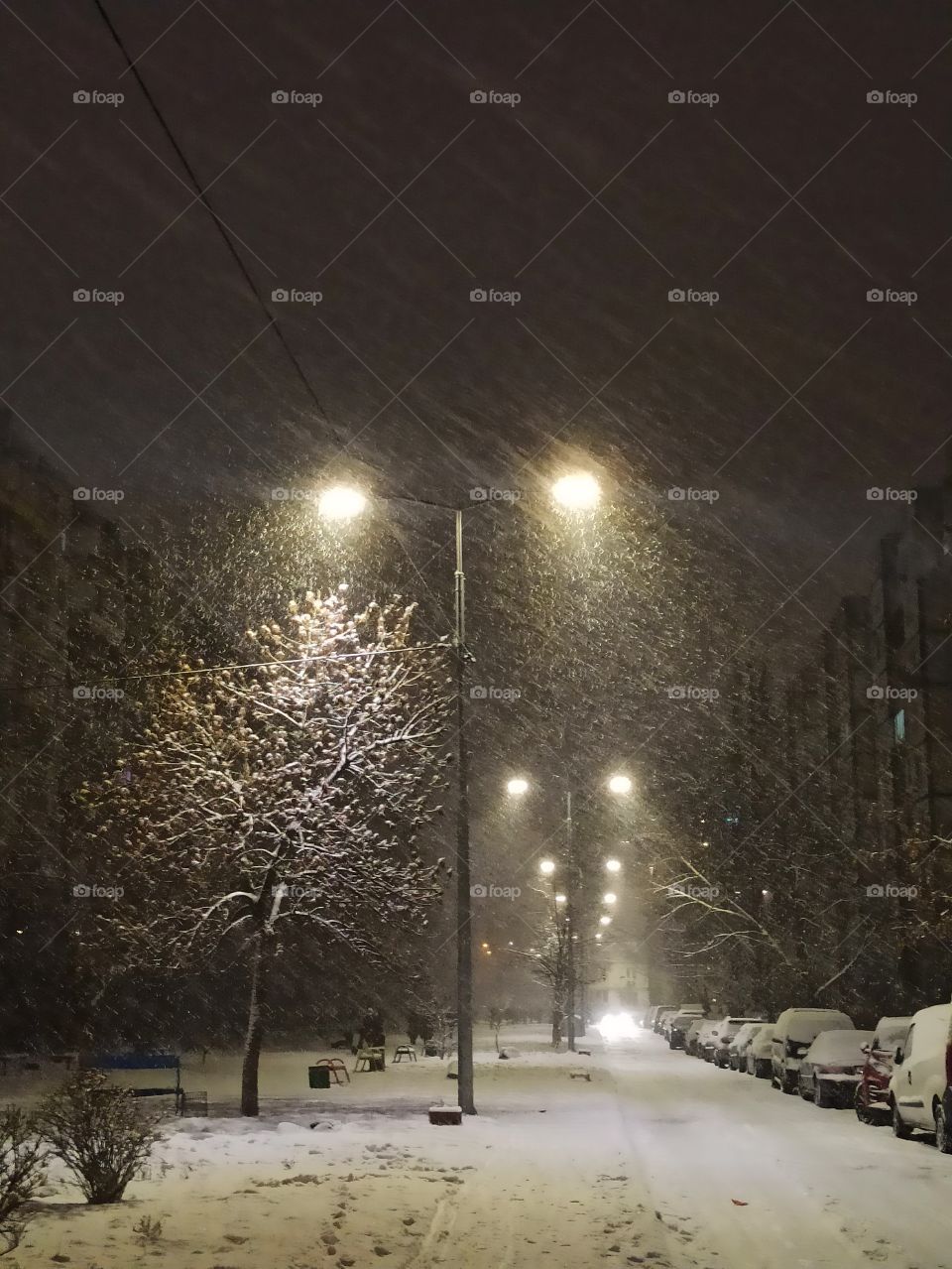 Snowy evening. snow. snowfall. lantern