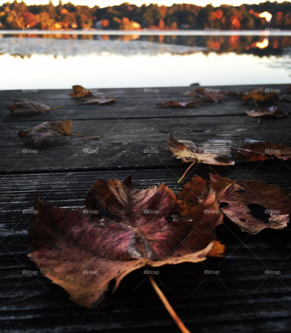 Fall day by the lake