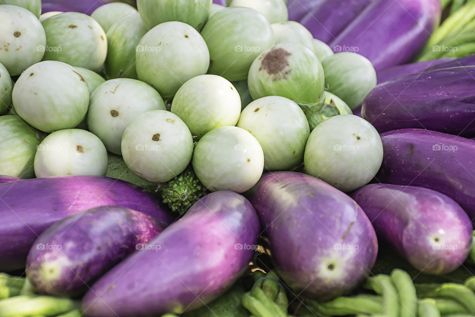 Tomato and eggplant purple The native vegetation of Thailand