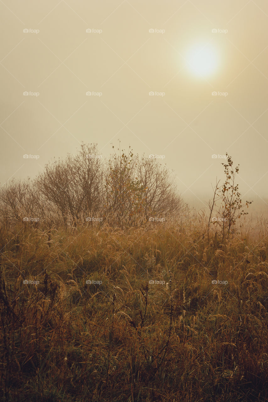 Autumn misty landscape at early morning 