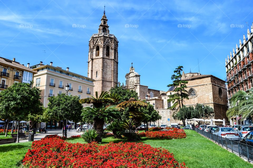 Plaza de la Reina. Plaza de la Reina (Valencia - Spain)