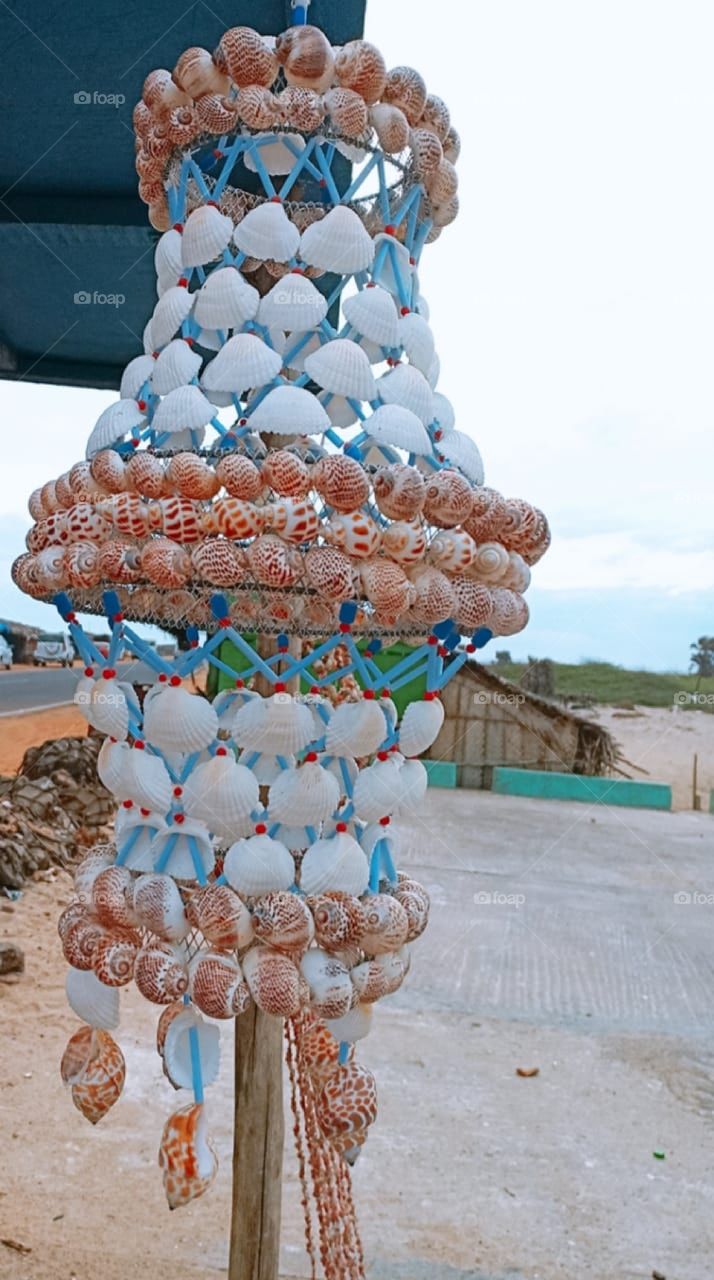 sea shell wall hanging