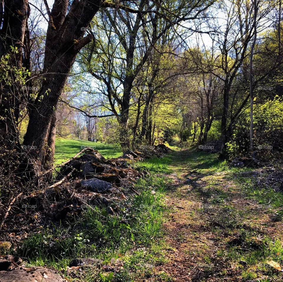 Mon Chemin