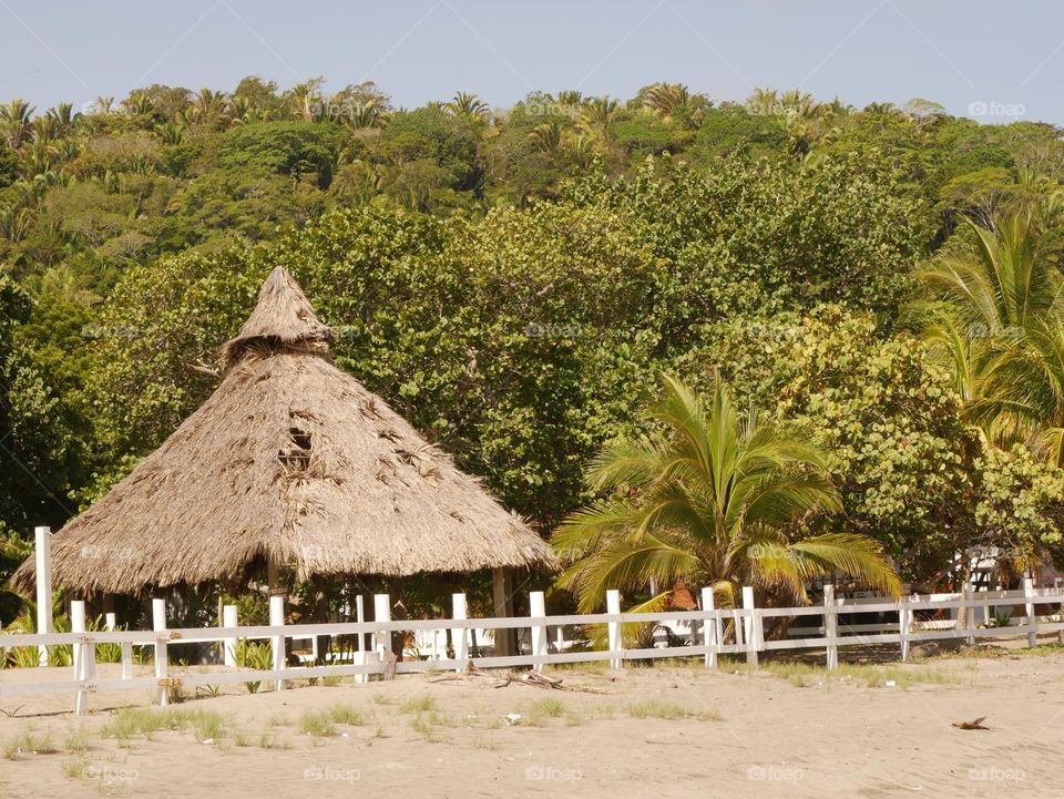 Manaca Tent