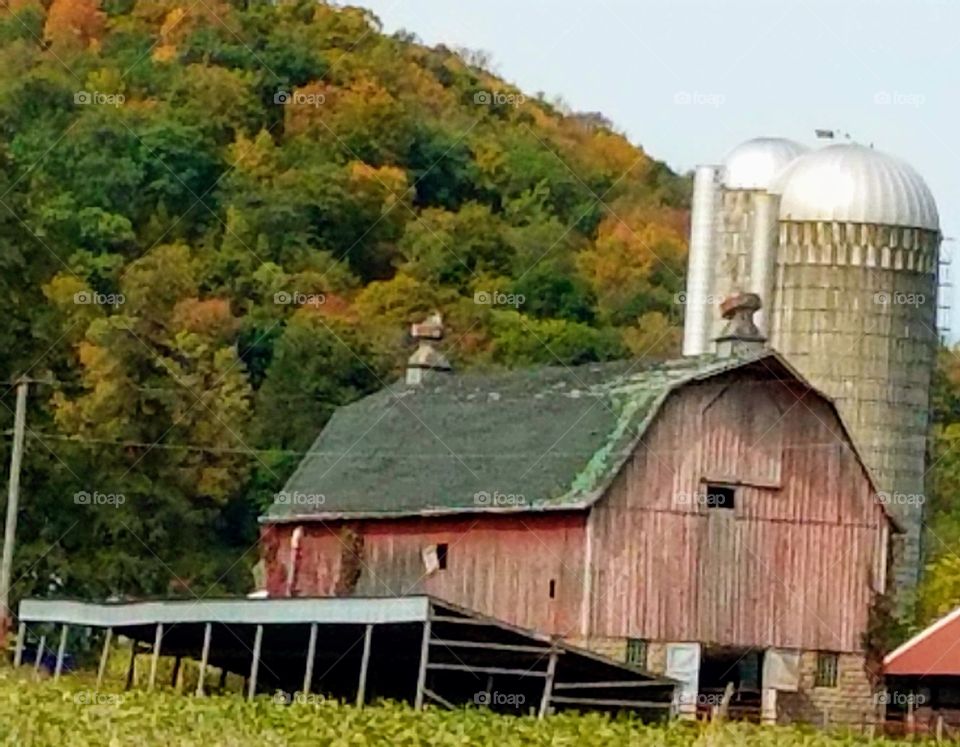 Driving the Back Roads and enjoying everything around us