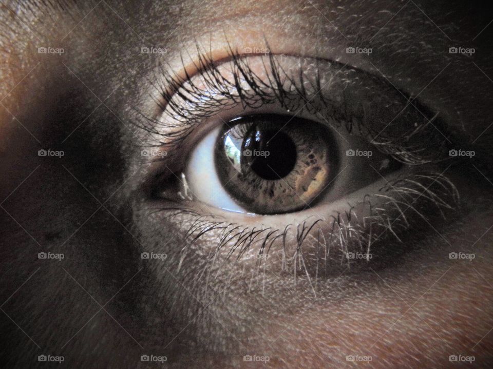 Macro shot of human eye