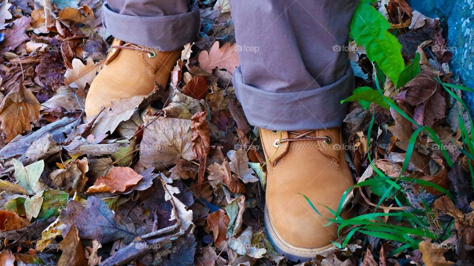 Docs and autumn 