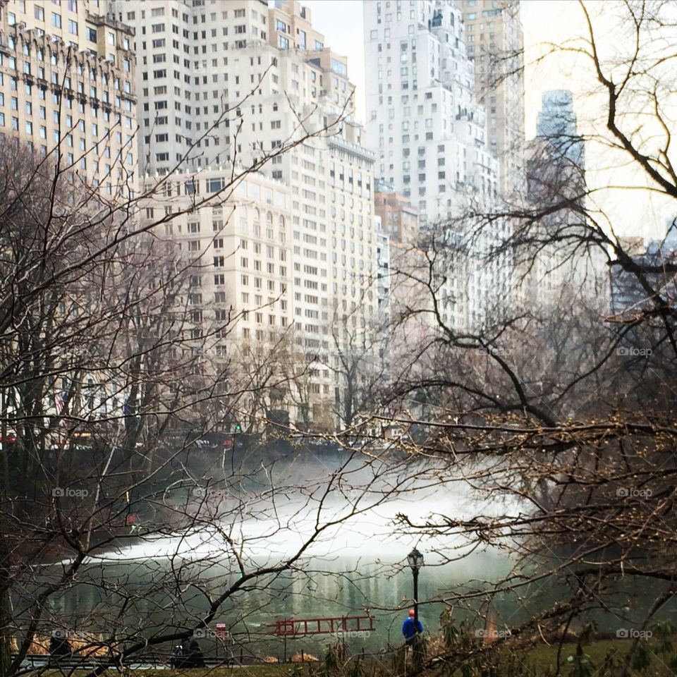 Icecaps Melt in Central Park 
Central Park, New York 