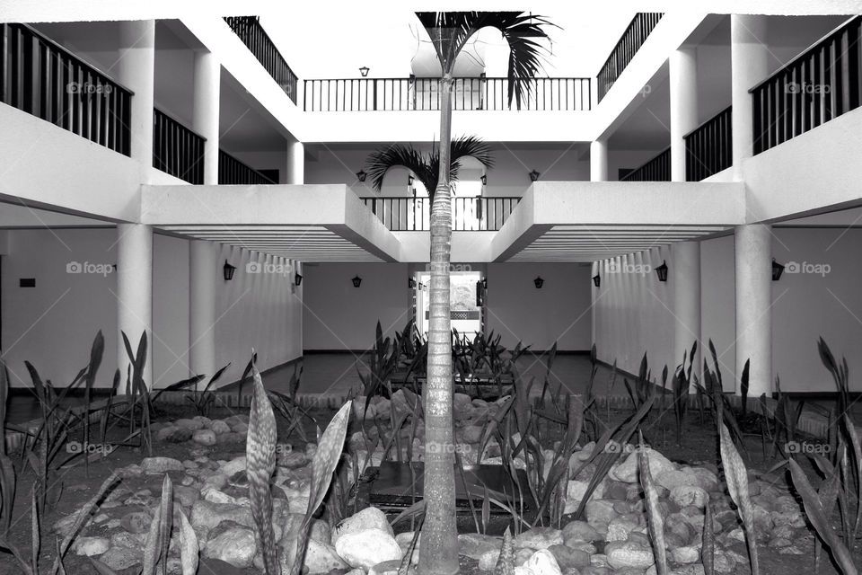 white tree palm hotel by lagacephotos