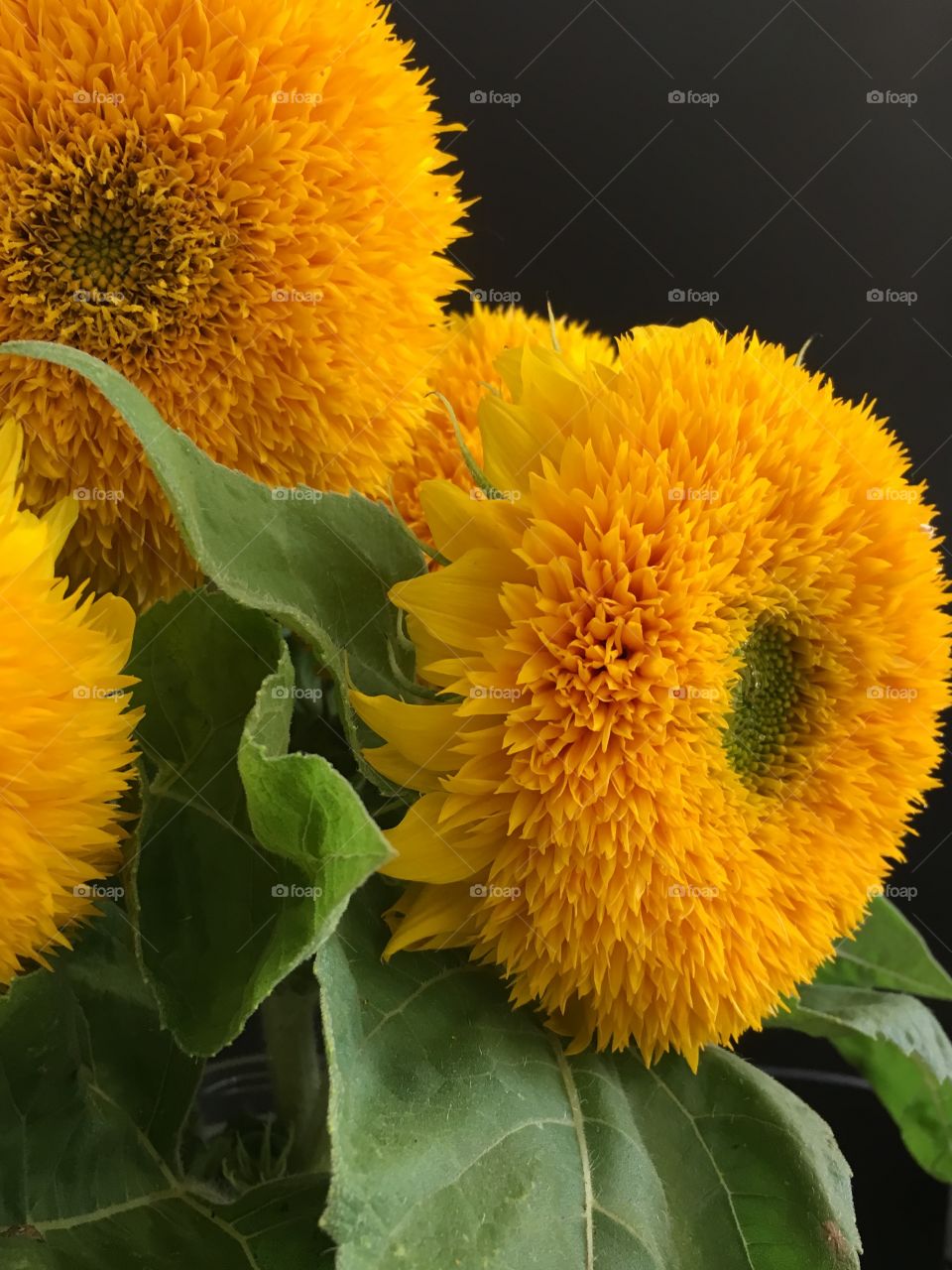 Sunflower bouquet 