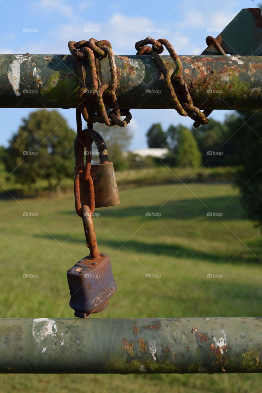 Old rusty locks on gate