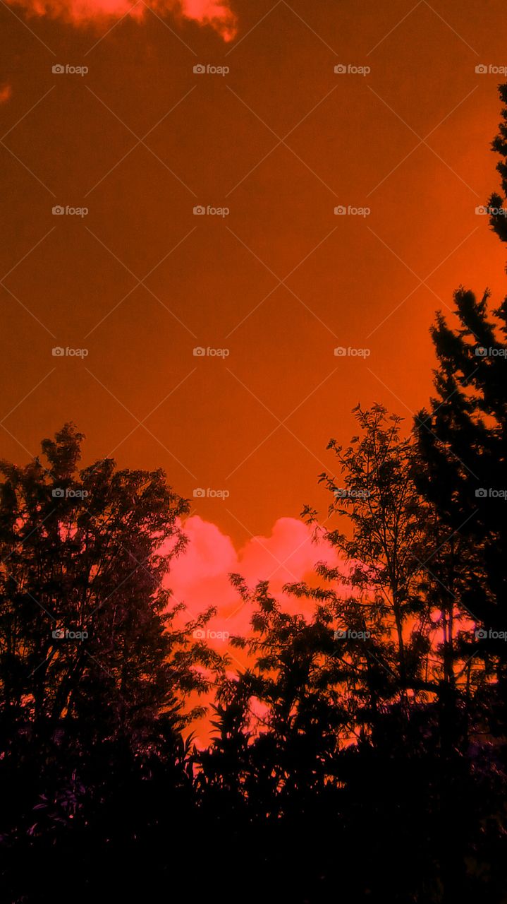 Landscape in beautiful evening.
In the backround behind the trees it can be seen interesting puffy silhouette