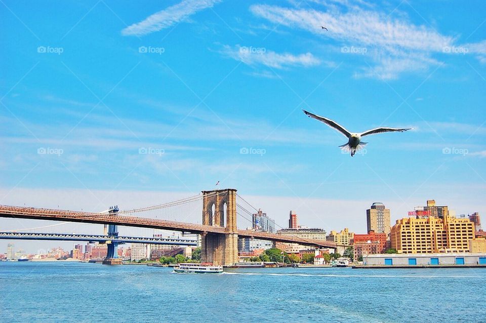 Brooklyn Bridge, New York, USA