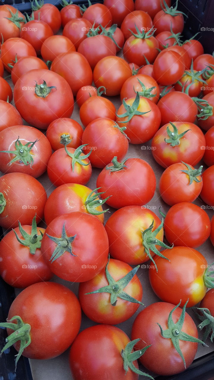 tomatoes