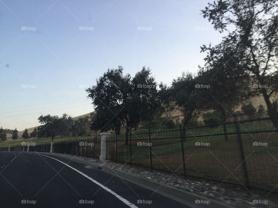 Road, Tree, Landscape, No Person, Guidance