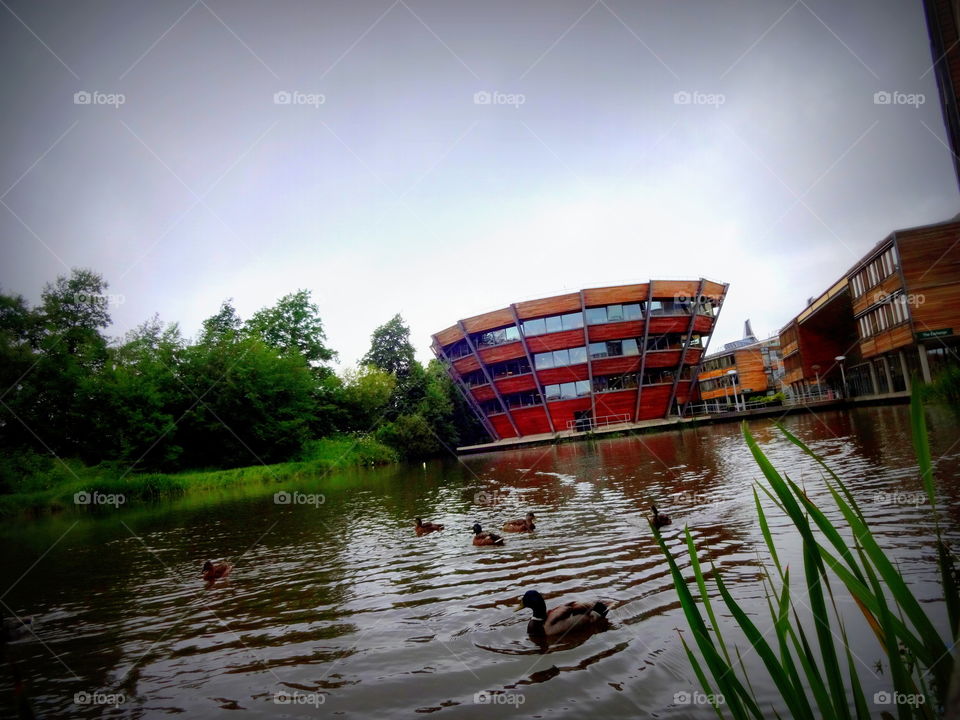 landscape. nature in the Jubilee Campus , University of Nottingham