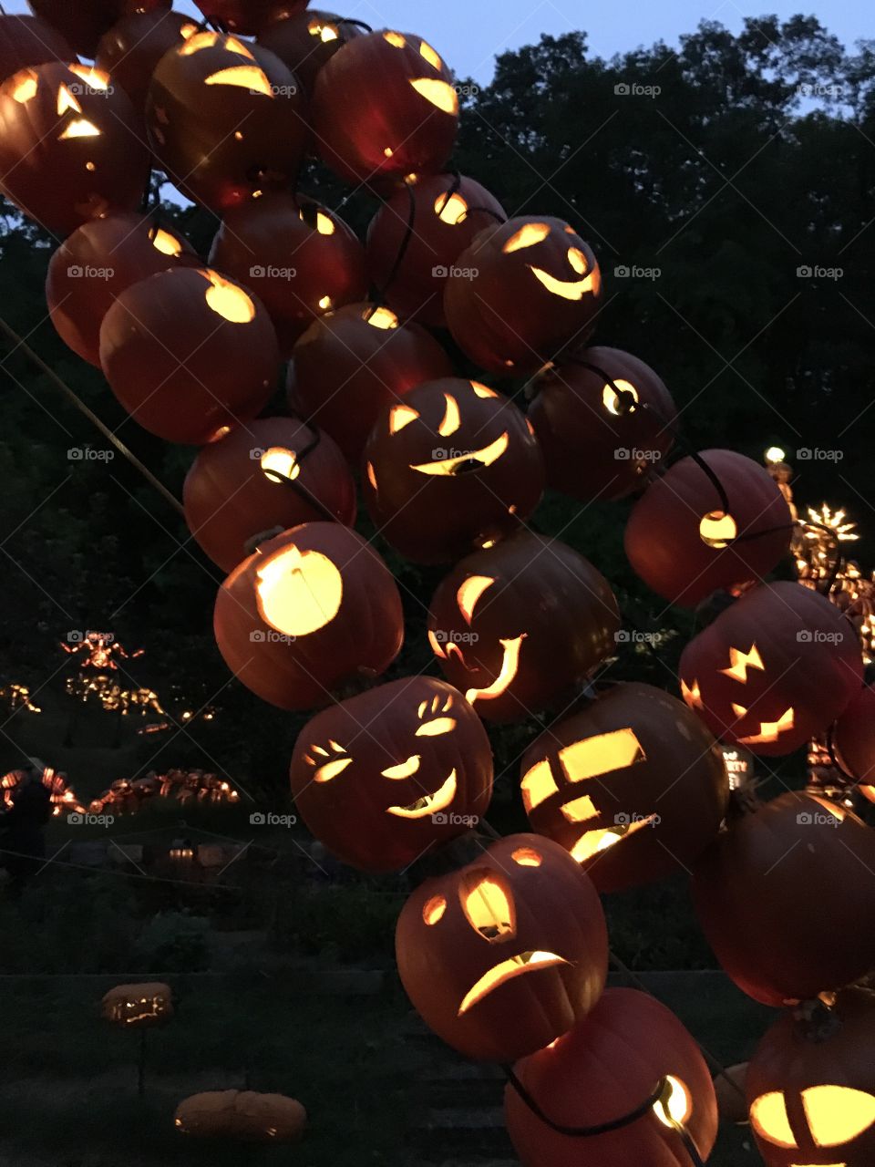 The Great Jack O’Lantern Blaze