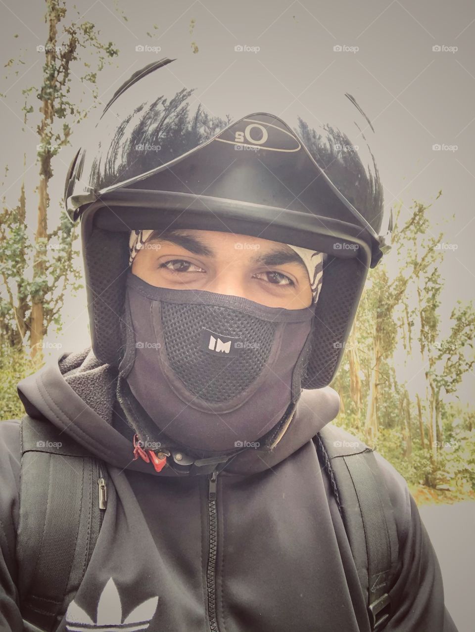 Face mask and helmet