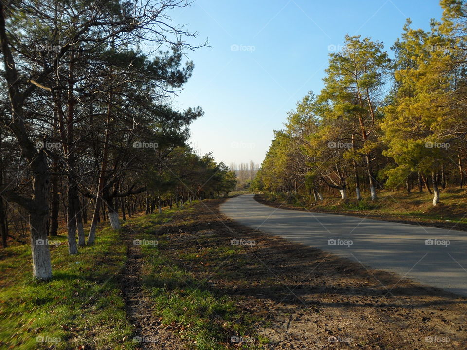 Beautiful rural life