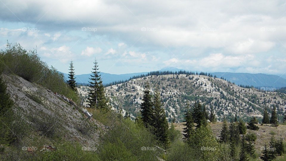 Mount Saint Helens wilderness