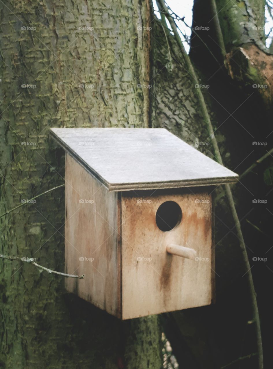 Wooden bird house on tree. Winter time. Protecting birds. Vertical image, mobile phone photo