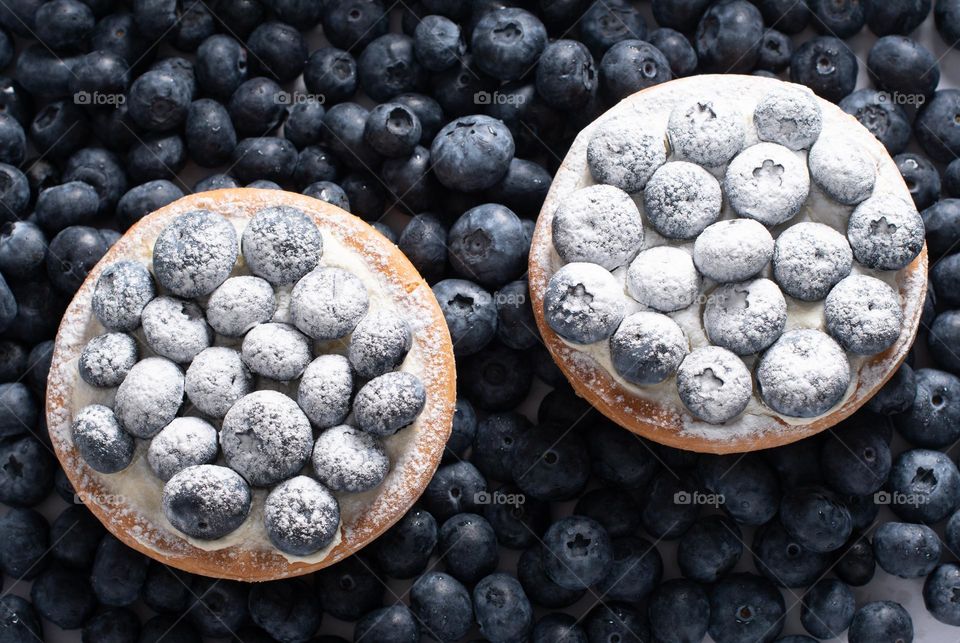 food from above, flat beautiful cakes with cream and fresh blueberries sprinkled with powdered sugar, close-up, macro photography, sweet home, homemade cakes