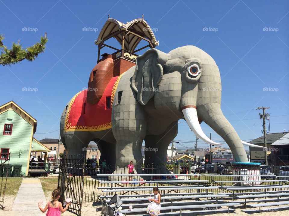 The Elephant, Lucy The Elephant 