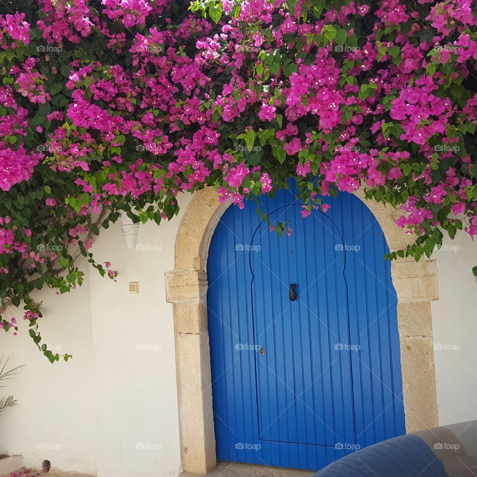 Because blue doors and pink flowers have to make you smile - Djerba, Tunisia