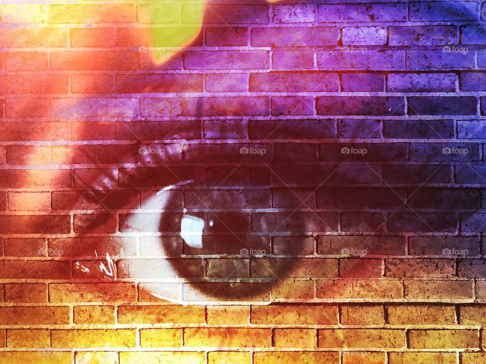Female eye on a brick wall 