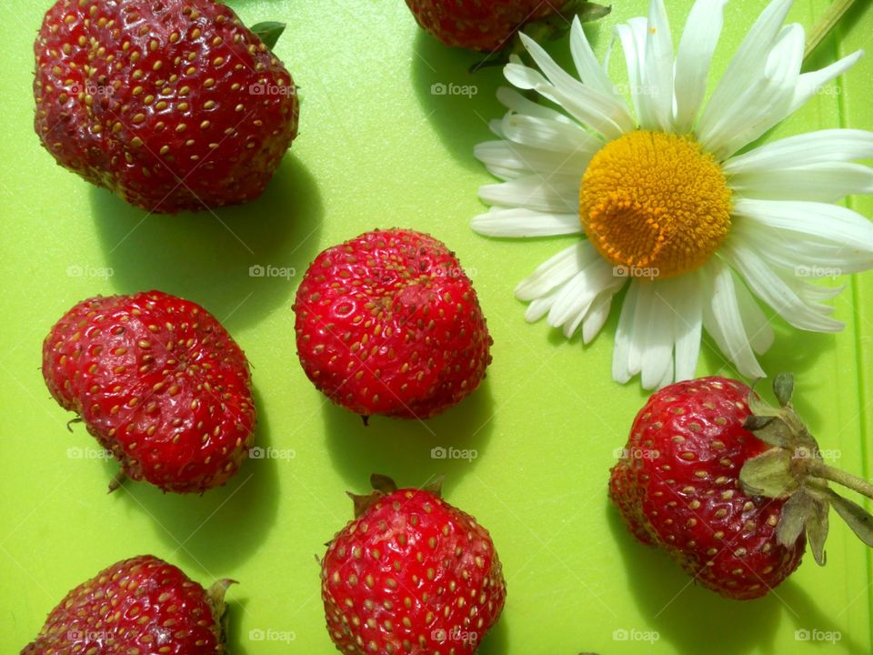 strawberries and flowers on a green background