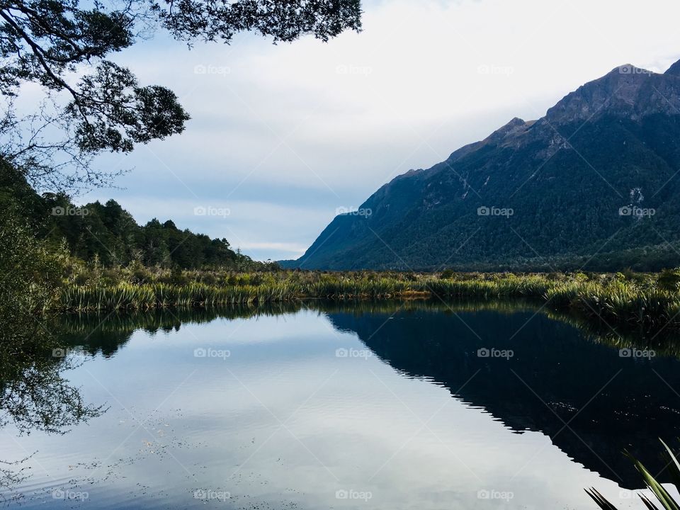 Mirror Lake, Milford Sound,NZ