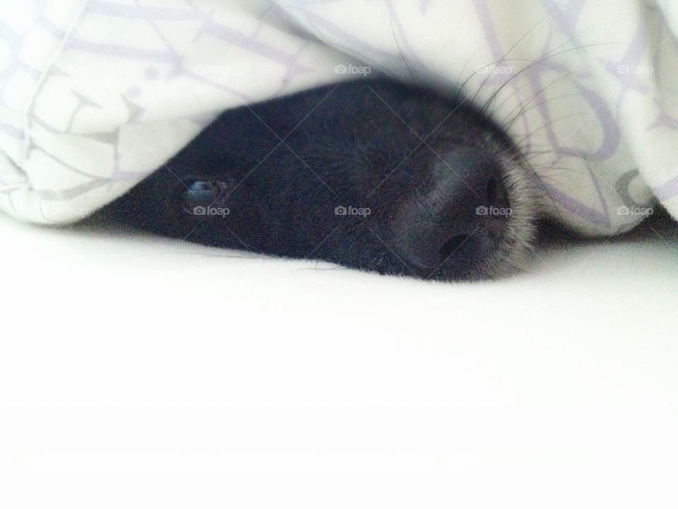 easy like sunday morning