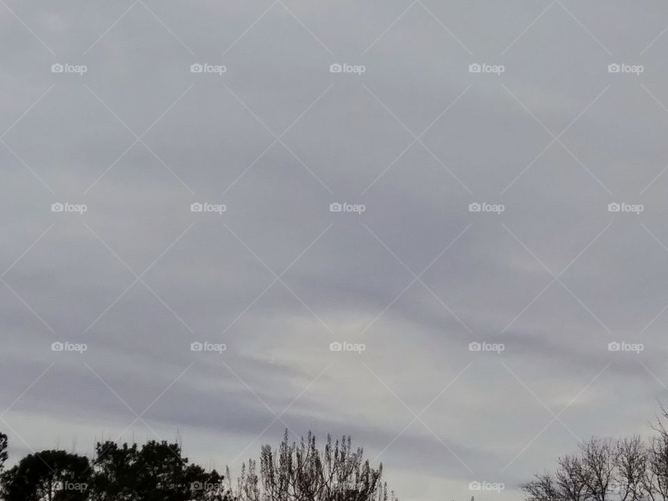 clouds above treetops