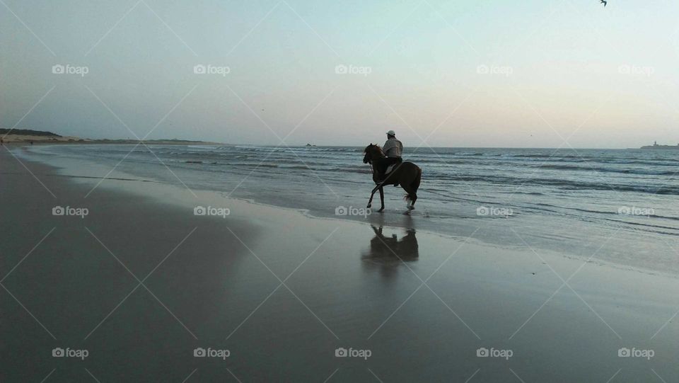 Man up back horse near sea