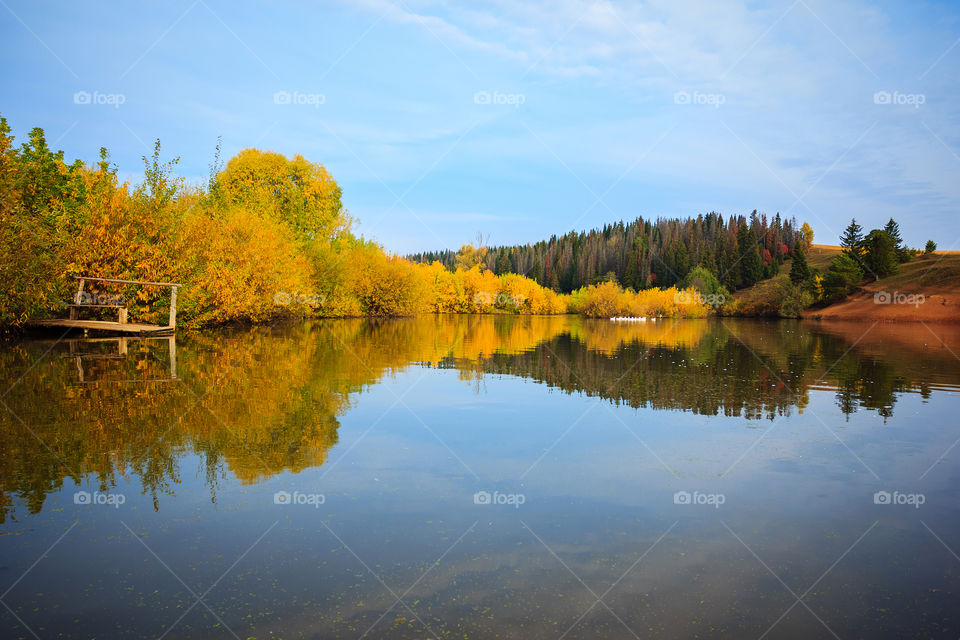 Lake in the countryside