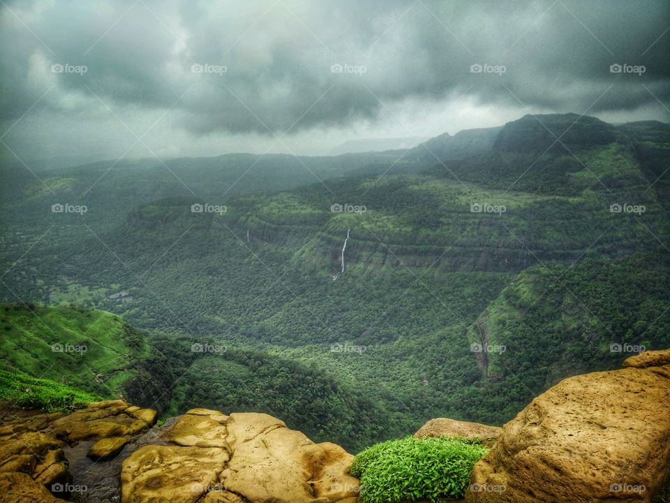 happiness is when the earth gets green cover during monsoon..