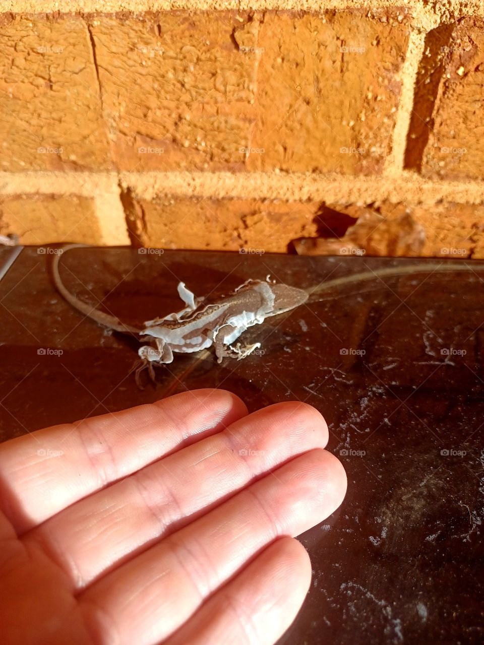 Giving Nature A Helping Hand