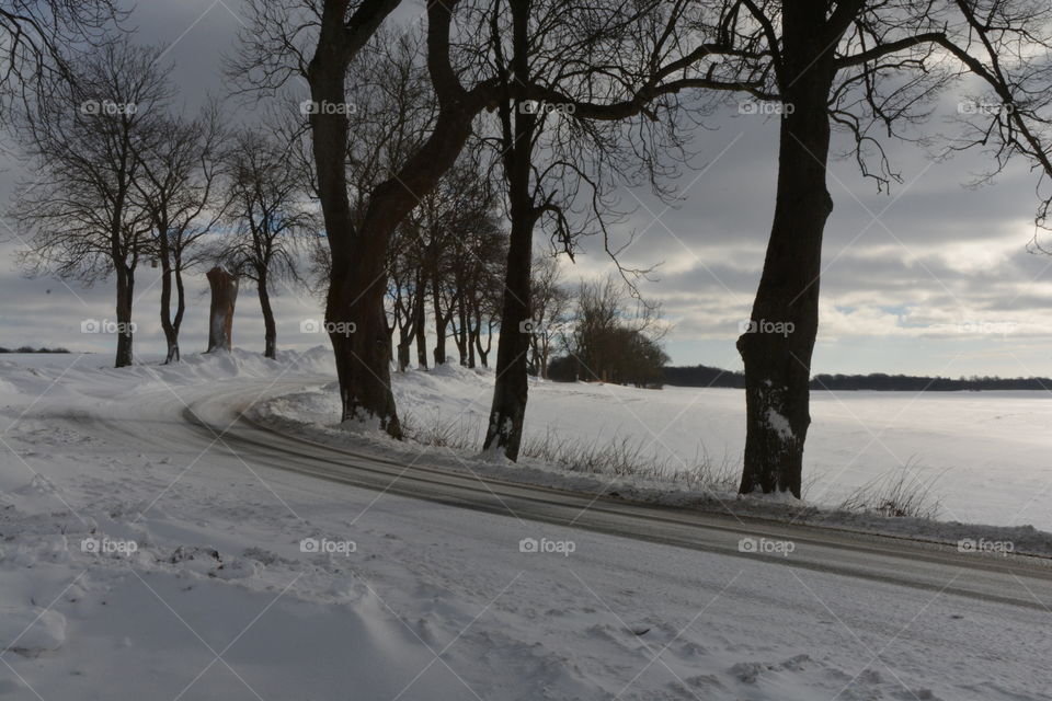 Snowy land in winter