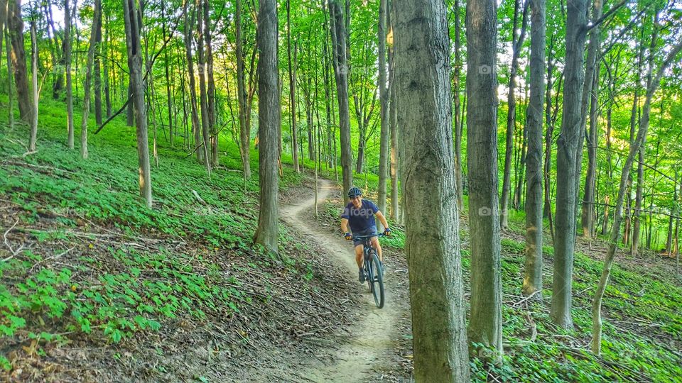 Mountain biking through the forest on a single track